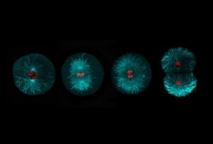 ImageJ=1.54f